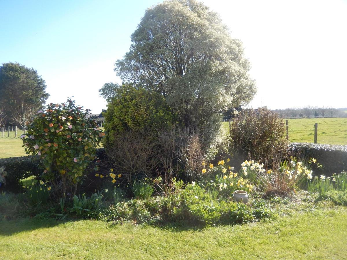 Le Tregonnec, Pres De Morlaix, Roscoff Bed & Breakfast Plouvorn Bagian luar foto