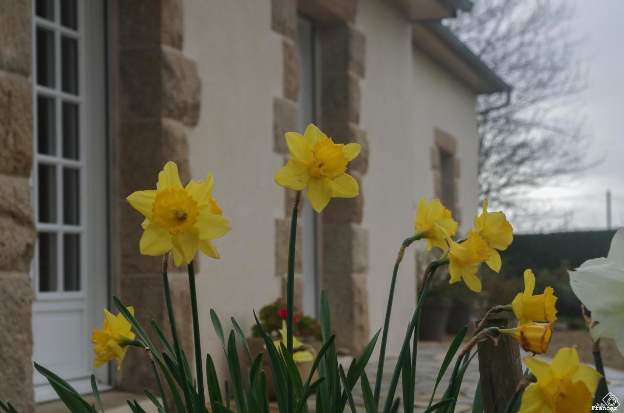 Le Tregonnec, Pres De Morlaix, Roscoff Bed & Breakfast Plouvorn Bagian luar foto