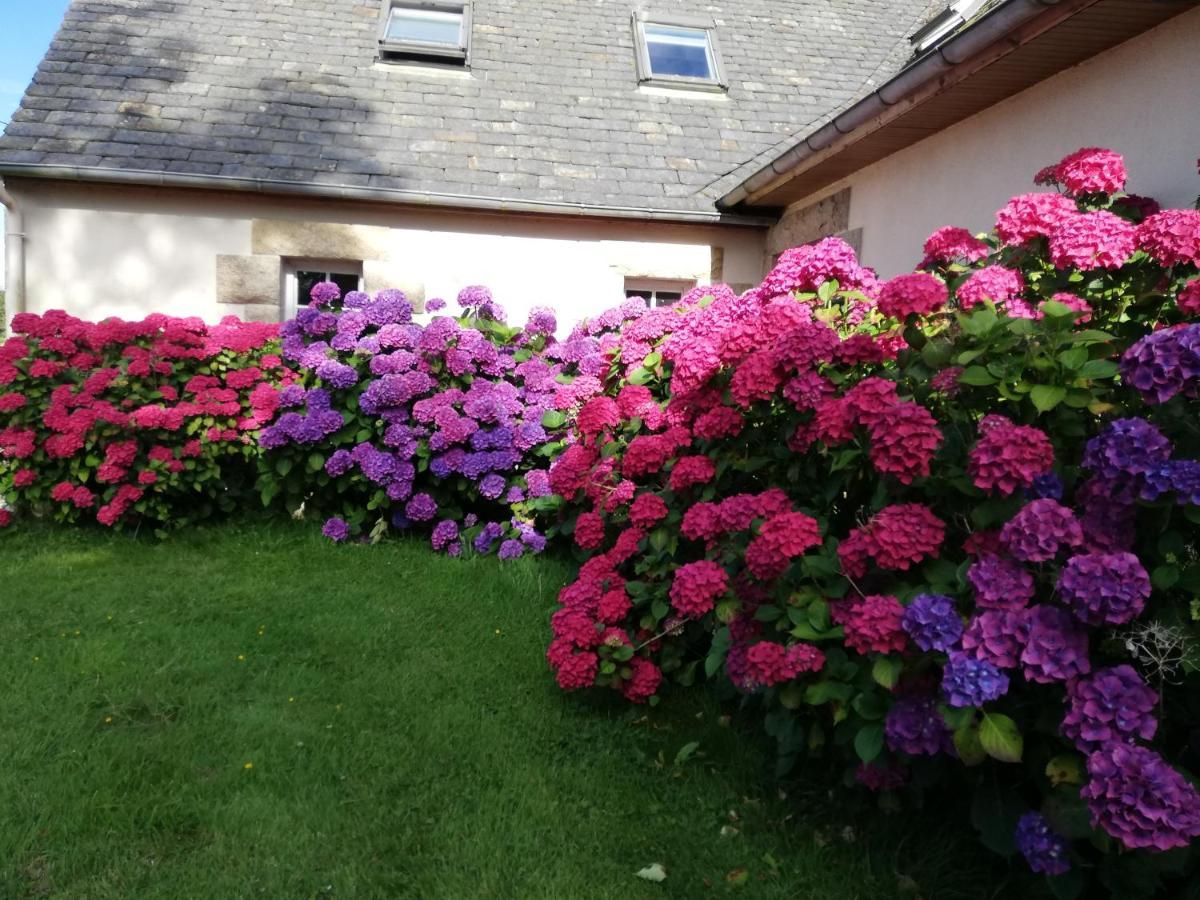 Le Tregonnec, Pres De Morlaix, Roscoff Bed & Breakfast Plouvorn Bagian luar foto